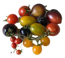50+ Samen Cherry Tomaten Mix (Bunte Mischung)