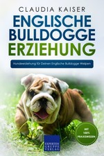 Englische Bulldogge