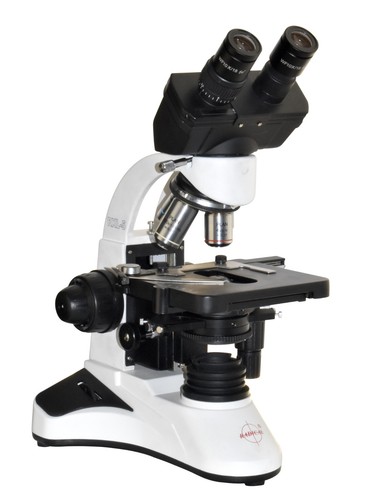 Radical rmh4ph1 - radical,