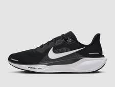 Nike Pegasus 41 Herren
