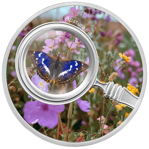 2024 cameroon apatura iris - 2024,