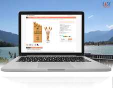 Ebayvorlage 2025 Design Template Responsive SEO Business Coral free Editor