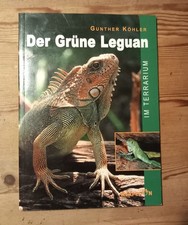 Gunther Köhler: Der Grüne Leguan im Terrarium