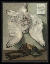 Snowy Owl Karel Purkyne Schneeeule Tiere ausgestopft Tod Jagd Vögel Faks_B 02742