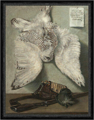 Snowy owl karel - owl,