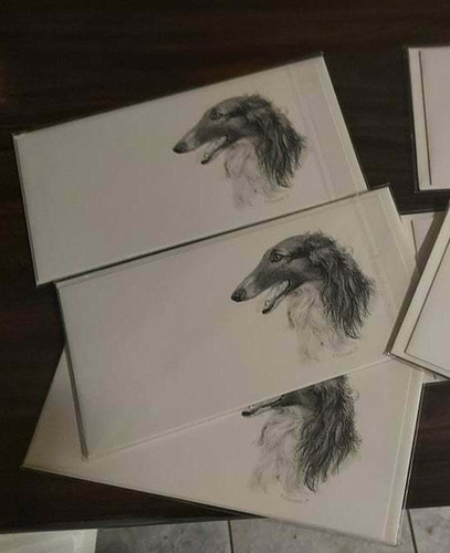 Windhund barsoi borzoi - *,