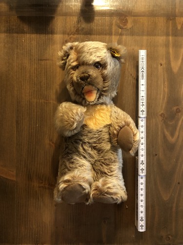 Steiff tier bär teddybär - steiff,