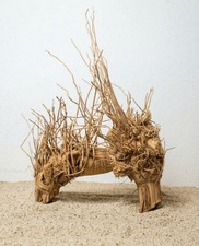 Bambuswurzel Aquarium