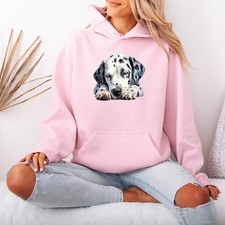 Dalmatiner Welpe Hund Schlafen