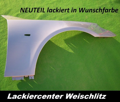Kotflügel lackiert - kotflÜgel, in