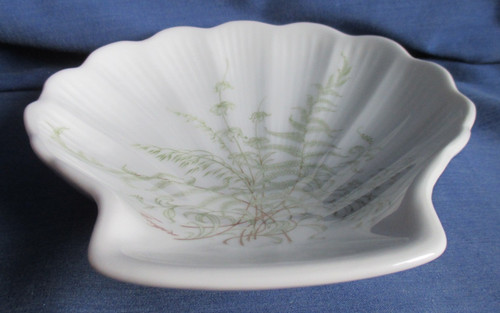Gallo b muschelschale 15 - b,