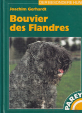 Bouvier des flandres - bouvier,