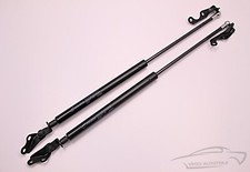 Gas spring tailgate - spring, trunk