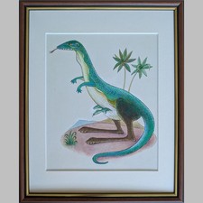 Willi Hertlein Echsenkangaroo