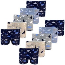 Jungen Boxershorts Dinosaurier