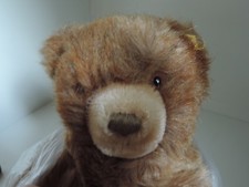 Steiff, Floppy Teddy,mit K/F