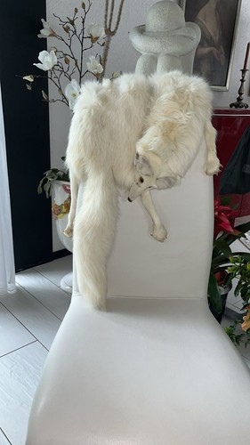 Silberfuchs stola echtpelz - stola, (echtpelz