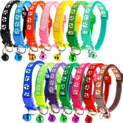 Hundehalsband mini kleine - hundehalsband,