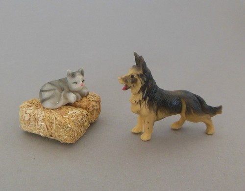 Schäferhund katze - schäferhund, +