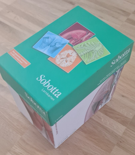 Anatomie lernkartenpaket - anatomie,