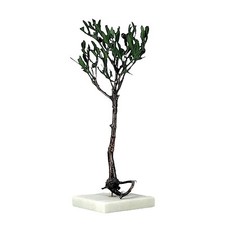 Decorative Real Olive Tree