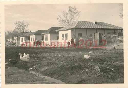 Foto flak abtlg - lt., lt.flak-abtlg.85