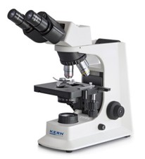 Durchlichtmikroskop [Kern