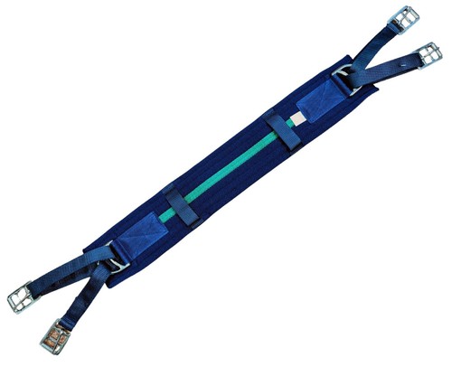 Aerborn cushion web humane - aerborn,