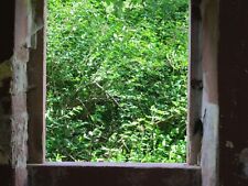 TAMRON 171A AF 28-200 mm