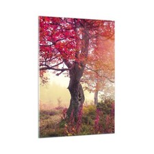 Wandbilder 50x70cm Glasbild