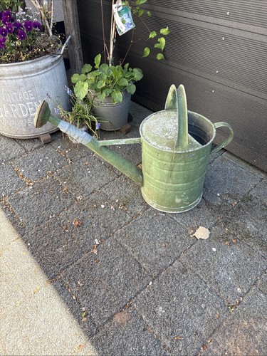 Alte gießkanne zinkgießkanne - alte,