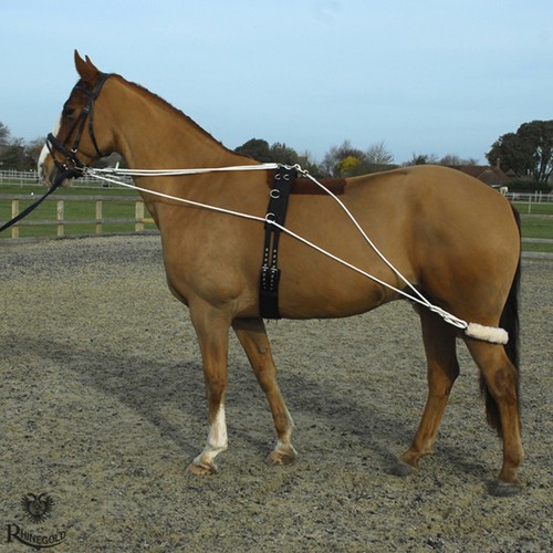 Trainingssystem mit rolle - mit,