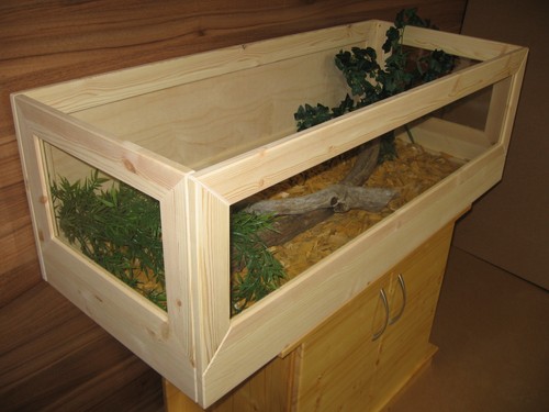 Schildkröten terrarium - schildkröten,