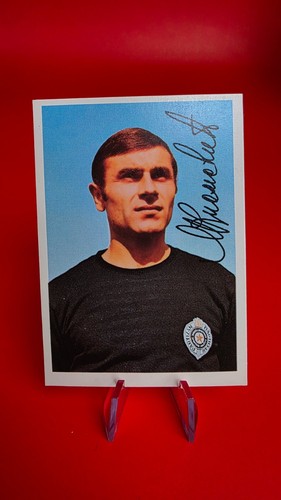 Miodrag knezevic - miodrag, (fc