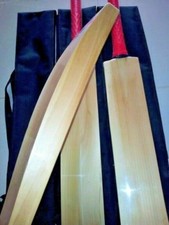 English Willow