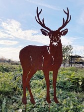 Hirsch nach vorne 95x54cm