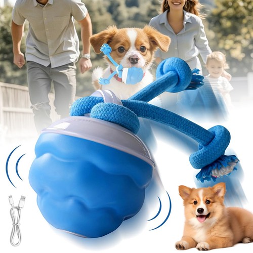 Interaktives hundespielzeug - interaktives,
