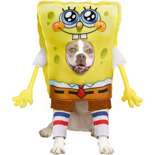 Spongebob schwammkopf haustier - spongebob,