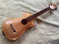 Short Scale Archtop