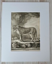 1767 Lithographie Kunstdruck