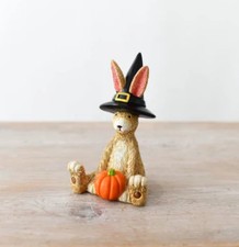 Sitzende Hexe Kürbis Hase