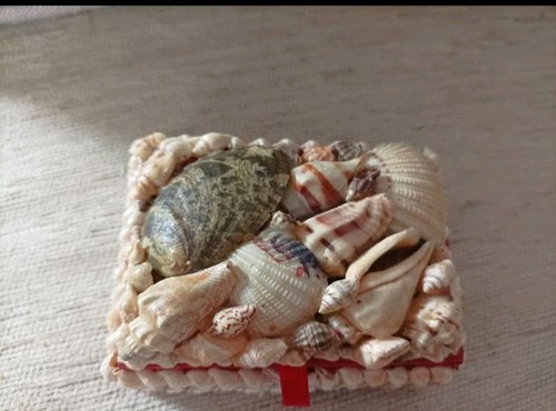 Muschel dose schatulle - 🍀muschel,