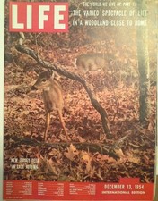 Life International Magazine