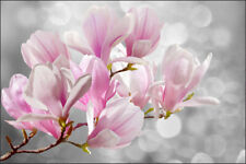 VLIES FOTOTAPETE XXL TAPETE