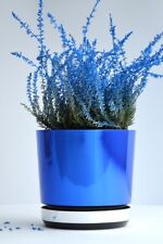 Luxus Blumentopf Übertopf