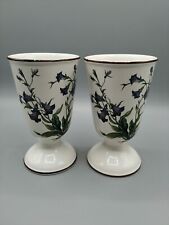 Villeroy & Boch Botanica 2x Kakaobecher 13,6 cm hoch Pharisäer Becher