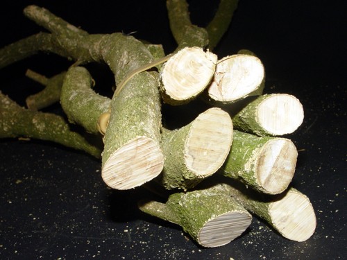 Bündel drechselholz - 1,