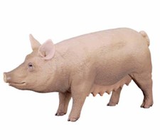 20853 epixx Revell Welt der