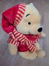 DISNEY WINNIE THE POOH NEUWERTIG MIT BADEMANTEL 