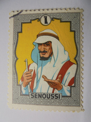 5311 vignette senoussi - 5311.,